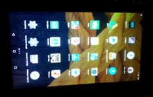 Maxvi