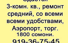 3-комн. квартира, в аренду