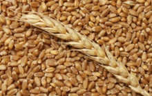 Продам пшеницу 2,3,4,5 класса