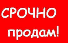 Ковры, кресла, диван