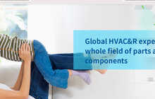 Компания Vaka Technology