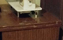 Мошинаи фуруши 850