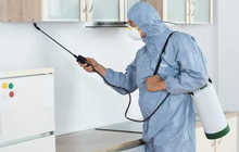 Дезинсекция и дератизация | Уничтожение насекомых и грызунов